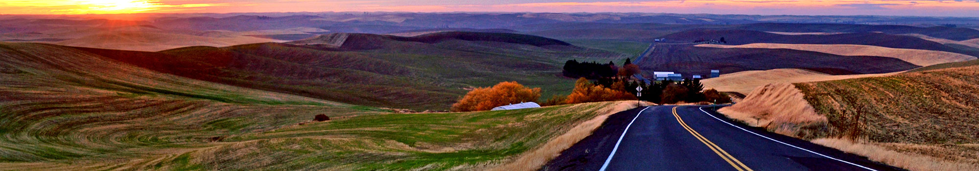 Whitman County Road at Sunset