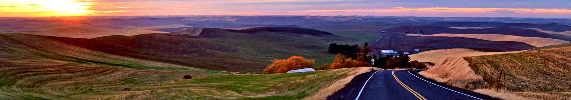 Whitman County Road at Sunset